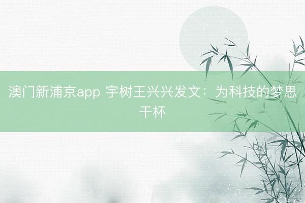 澳门新浦京app 宇树王兴兴发文：为科技的梦思干杯