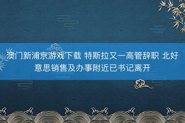 澳门新浦京游戏下载 特斯拉又一高管辞职 北好意思销售及办事附近已书记离开
