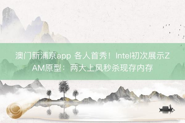 澳门新浦京app 各人首秀！Intel初次展示ZAM原型：两大上风秒杀现存内存