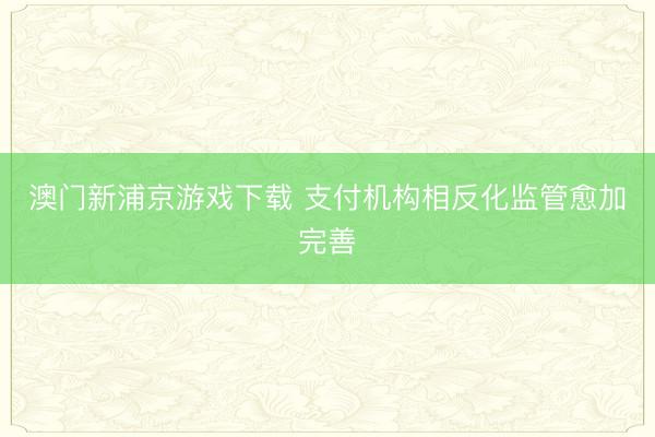 澳门新浦京游戏下载 支付机构相反化监管愈加完善
