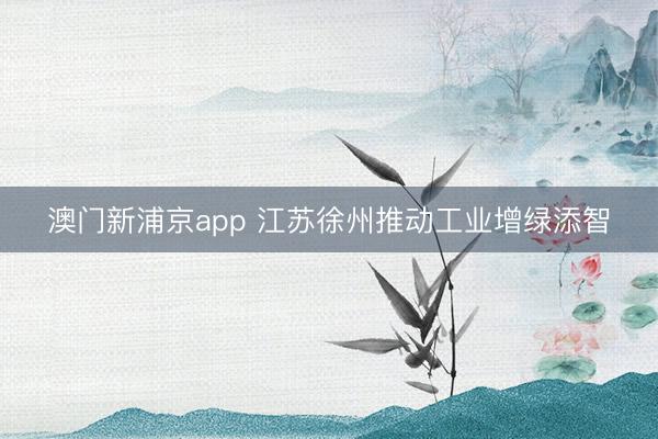澳门新浦京app 江苏徐州推动工业增绿添智