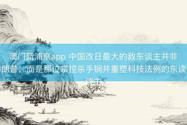 澳门新浦京app 中国改日最大的敌东谈主并非特朗普,而是那位掌控杀手锏并重塑科技法例的东谈主