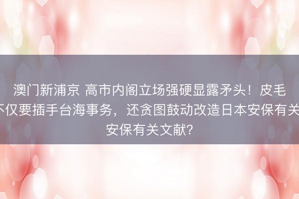 澳门新浦京 高市内阁立场强硬显露矛头!皮毛放话不仅要插手台海事务,还贪图鼓动改造日本安保有关文献?