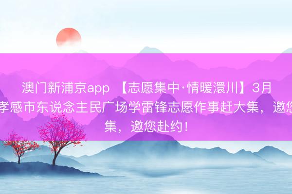 澳门新浦京app 【志愿集中·情暖澴川】3月3日,孝感市东说念主民广场学雷锋志愿作事赶大集,邀您赴约!