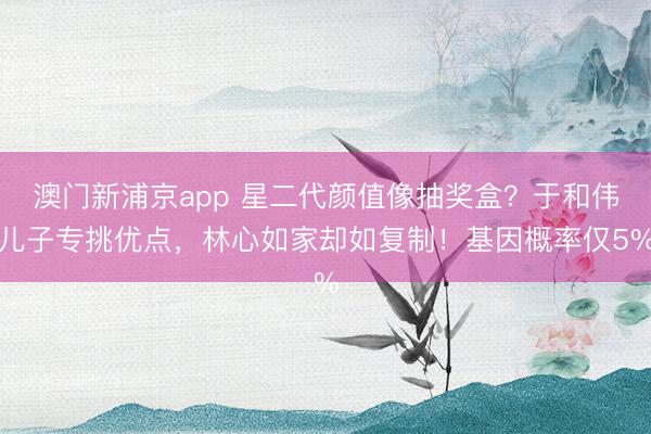 澳门新浦京app 星二代颜值像抽奖盒？于和伟儿子专挑优点，林心如家却如复制！基因概率仅5%