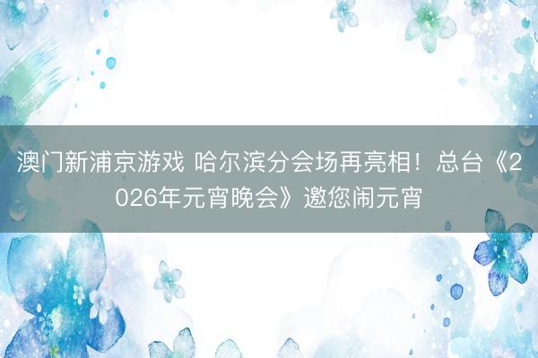 澳门新浦京游戏 哈尔滨分会场再亮相！总台《2026年元宵晚会》邀您闹元宵