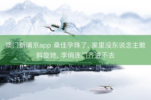 澳门新浦京app 桑佳孕珠了， 家里没东说念主敢斡旋她， 李俏连门齐进不去